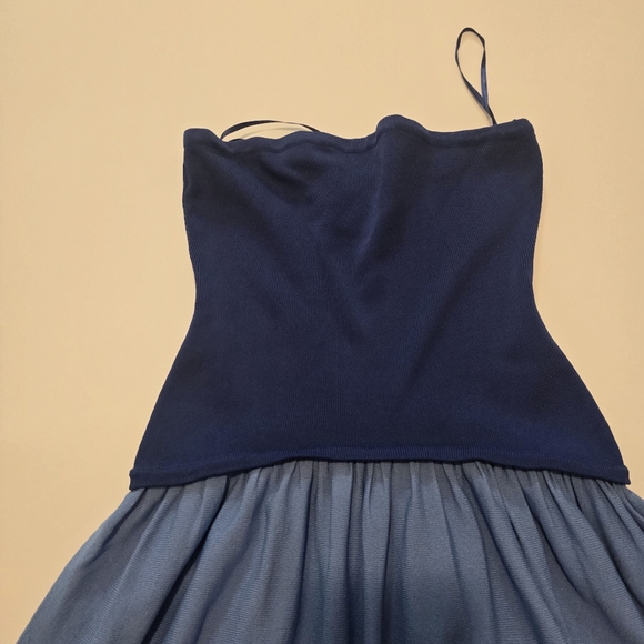 Solid & Striped Strapless Soglio Dress Casual Dress Strapless Sleeveless Size XS - Picture 7 of 11